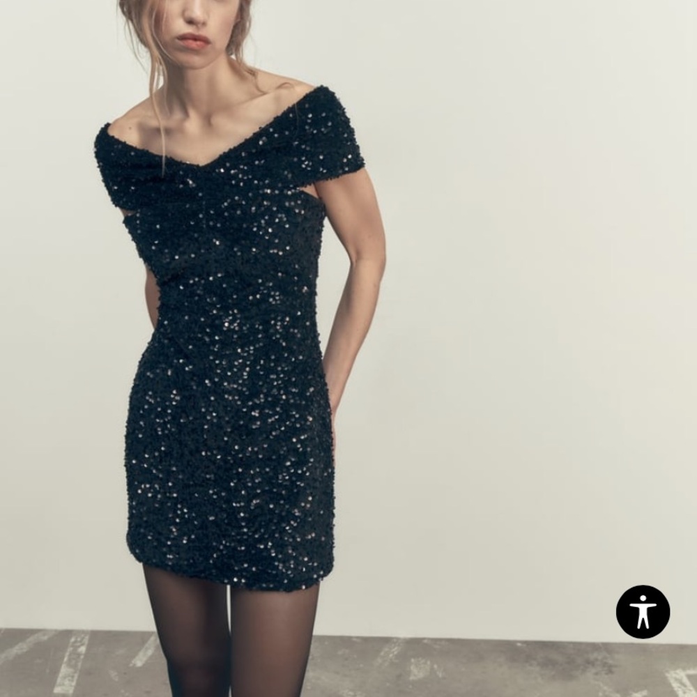 Zara Velvet Sequin Dress